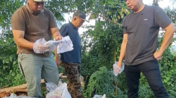 Sanksi Denda Rp 50 Juta Buang Sampah Sembarangan